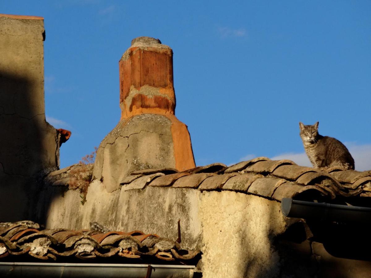 La Marisol Villa ลีล-ซูร์-ลา-ซอร์ก ภายนอก รูปภาพ